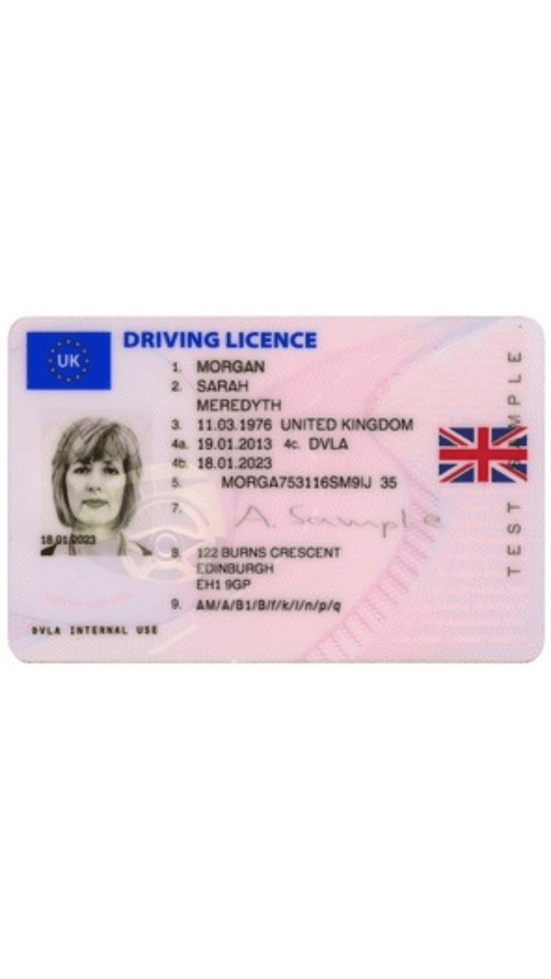 Driving Licence.png