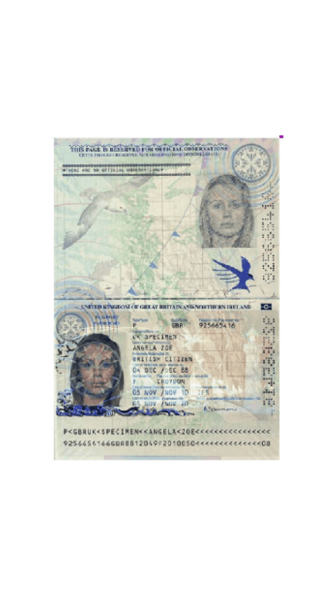 passport (2).png